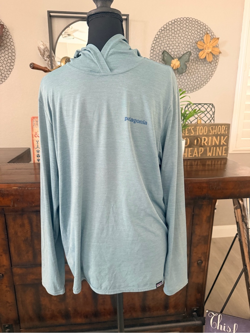 Patagonia Long-Sleeve Hooded Performance Top